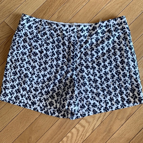 LOFT Pants - Loft shorts‎